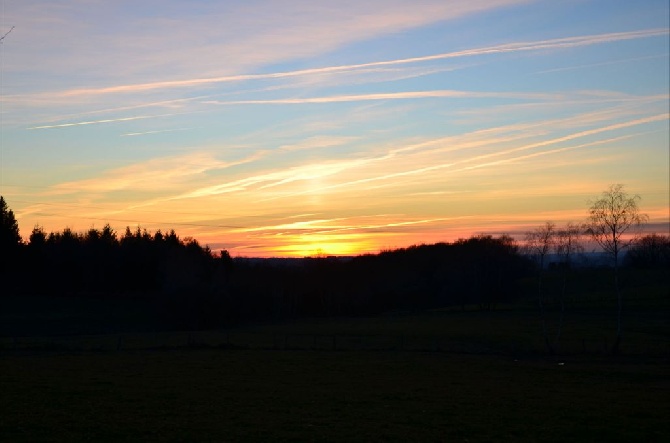 Des Campanes De La Vézère - Field bécasse bretagne